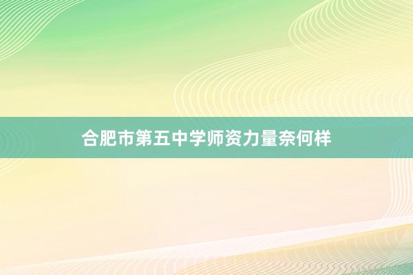 合肥市第五中学师资力量奈何样